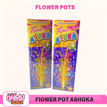 FLOWER POT ASHOKA_amu